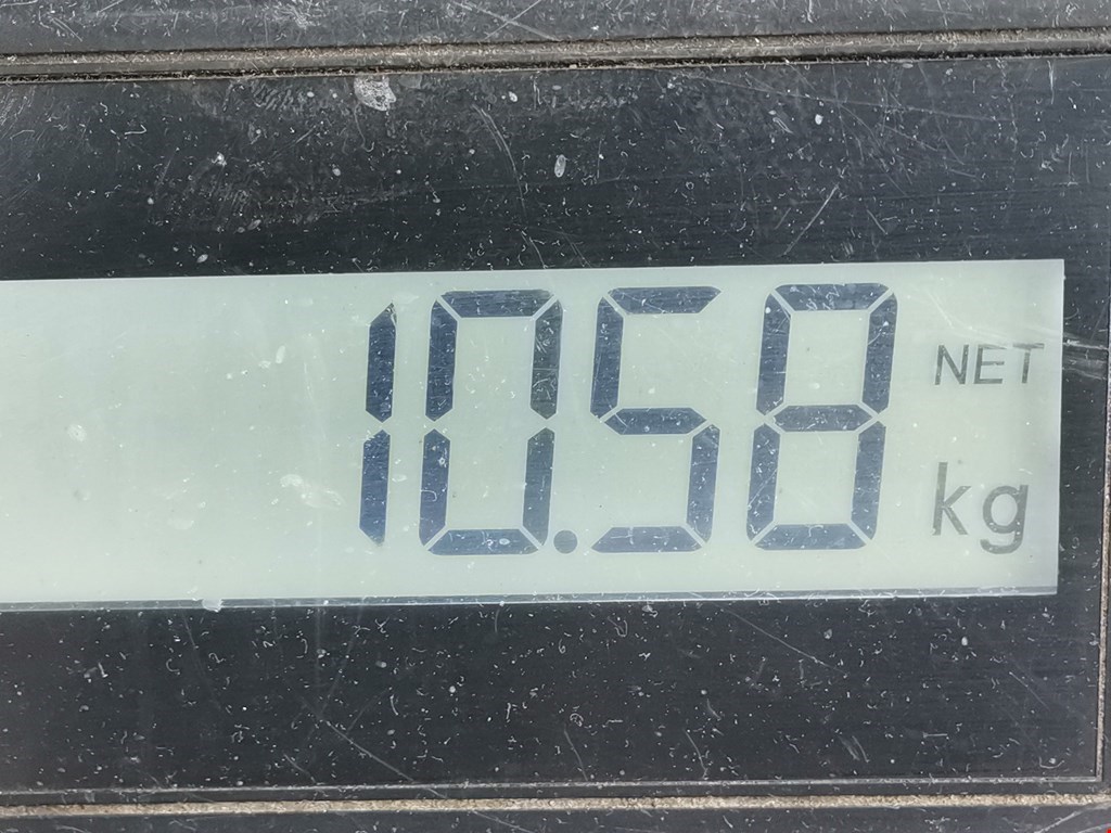 Амортизатор передний левый FORD Fiesta 2001-2008