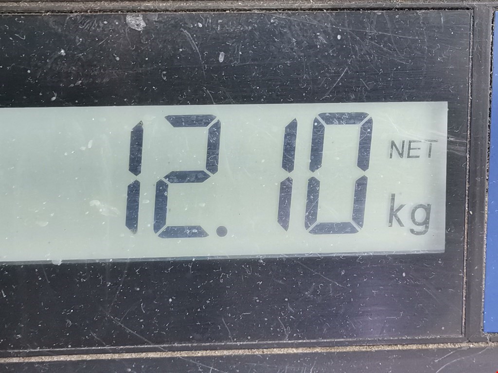 Амортизатор передний левый AUDI A3 8L 1996-2003