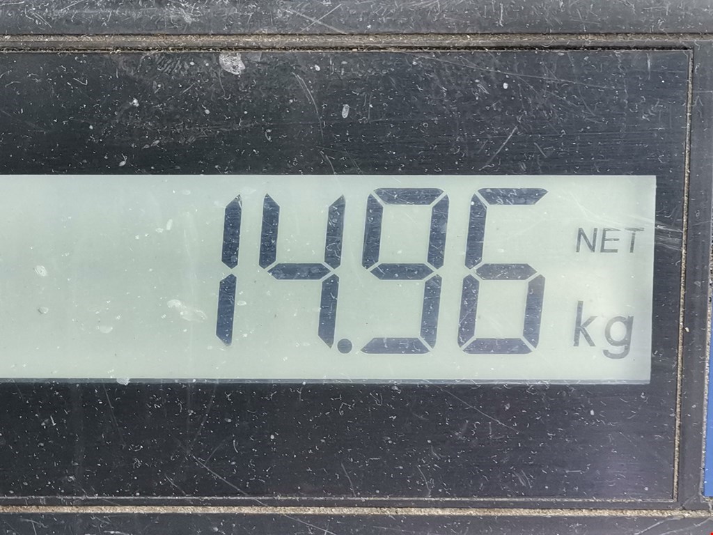 Амортизатор передний левый MAZDA Mazda 3 BK 2003-2009