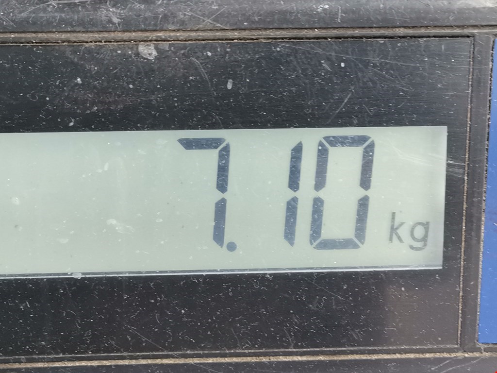 Амортизатор передний левый FORD C-MAX 2003-2010