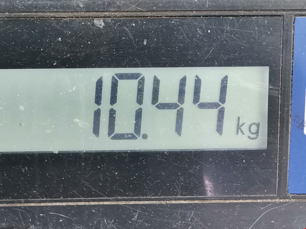 Амортизатор передний левый FORD Fiesta 2001-2008