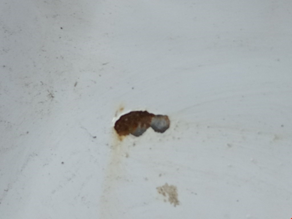 Дверь задняя левая FORD Transit 2006-2014