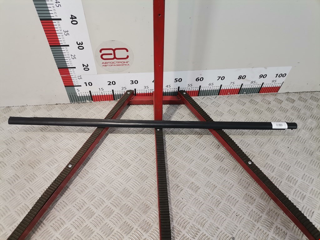 Накладка декоративная (молдинг) стекла двери задней левой Kia Carens 2 (UN) (2006-2012)