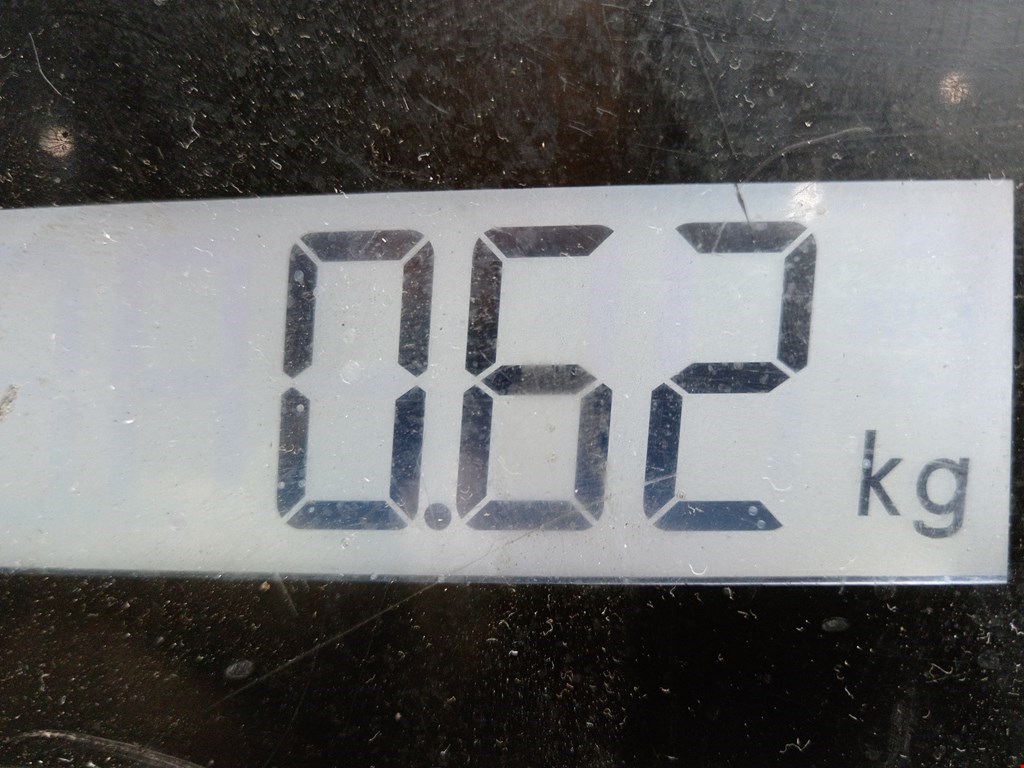 Амортизатор крышки (двери) багажника AUDI A6 C6 2004-2010