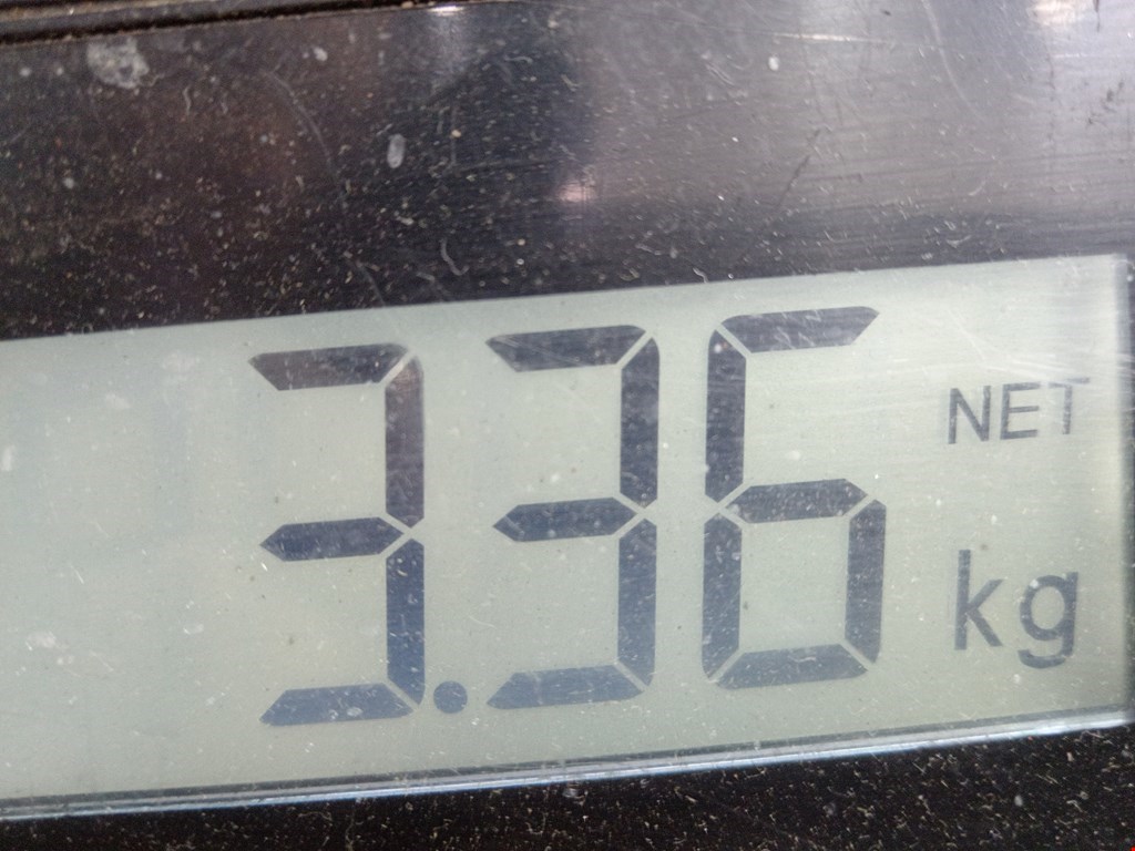 Амортизатор задний левый NISSAN Micra K12 2003-2010