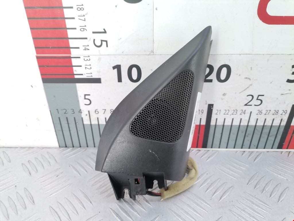 Динамик Volkswagen Passat 6 (2005-2010)