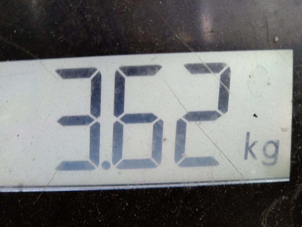 Пружина задняя левая/правая AUDI A3 8L 1996-2003