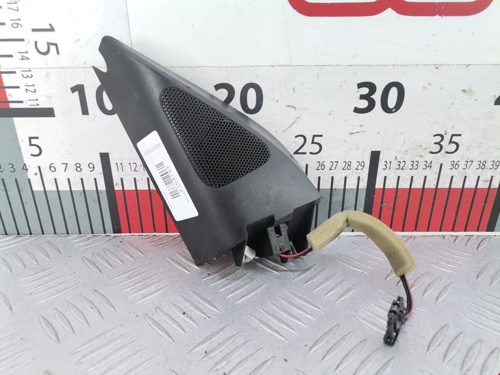 Динамик Volkswagen Passat 6 (2005-2010)