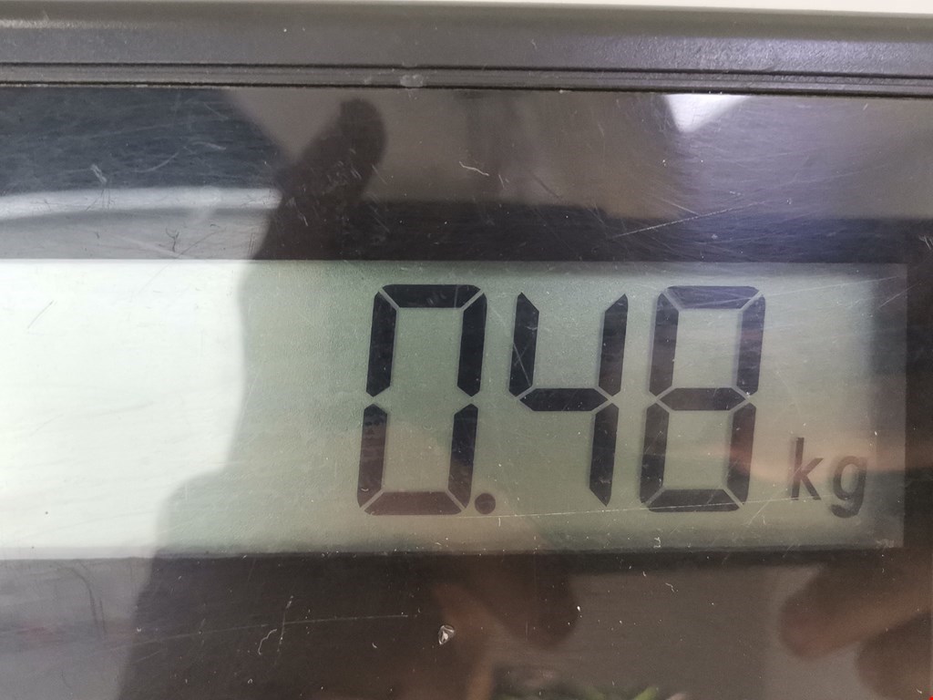 Ручка двери передней наружная левая BMW 3er E90/E91 2005-2012