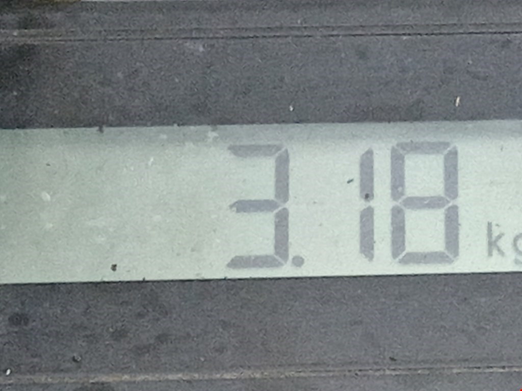 Стабилизатор передний (поперечной устойчивости подвески) AUDI A4 B5 1995-2001