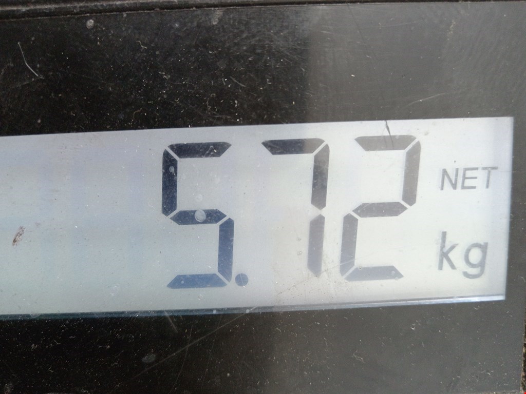 Ступица задняя левая RENAULT Scenic II 2003-2010