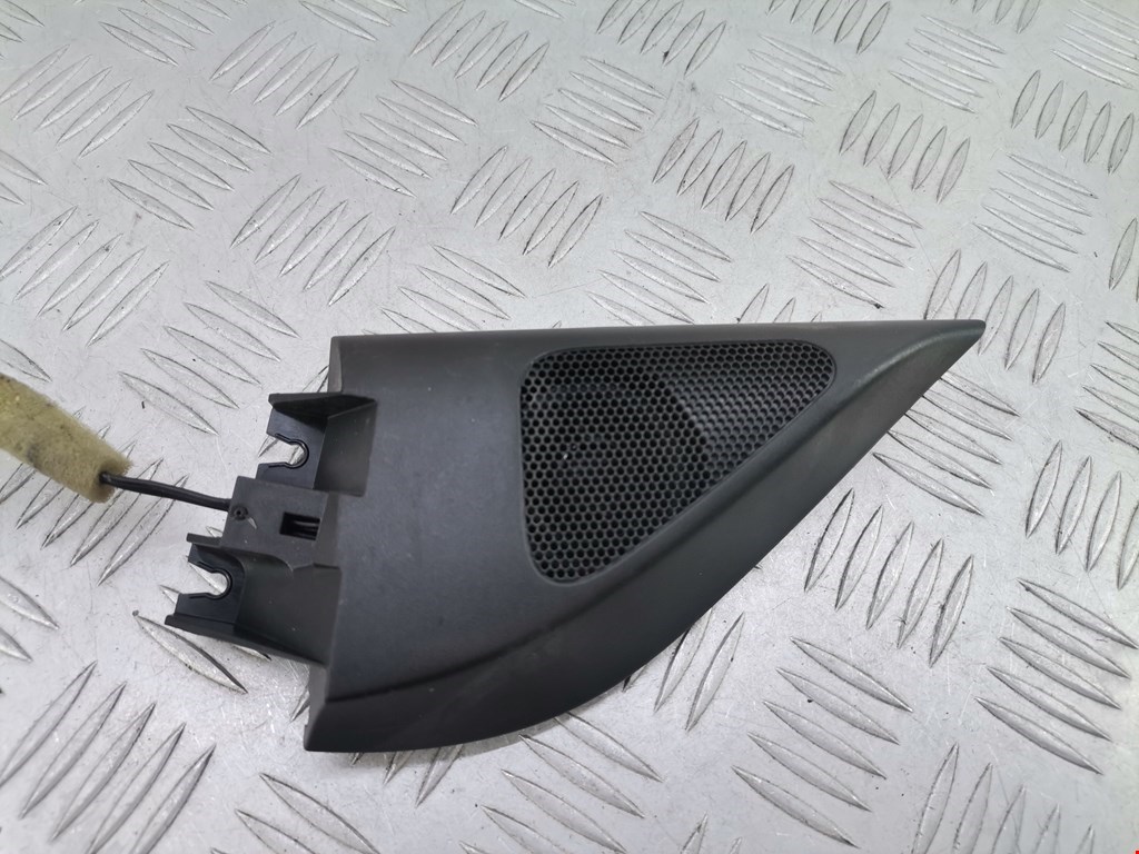 Динамик VOLKSWAGEN Passat B6 2005-2011