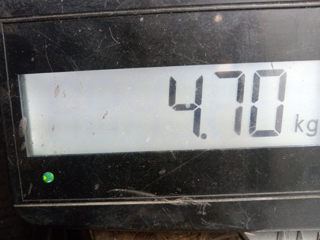 Суппорт передний правый RENAULT Megane II 2002-2009