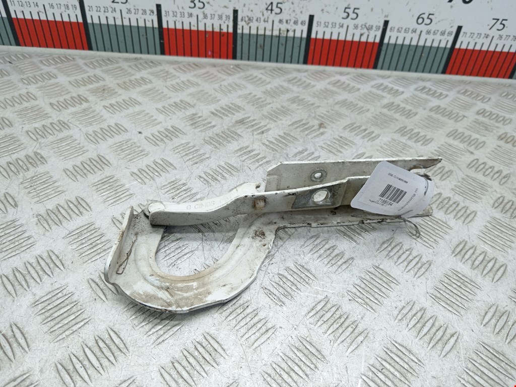 Петля капота левая Peugeot Expert 2 (G9) (2007-2016)