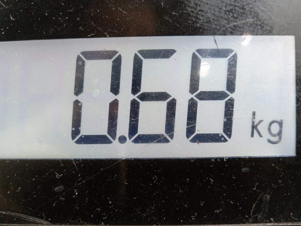 Решетка радиатора AUDI A3 8L 1996-2003