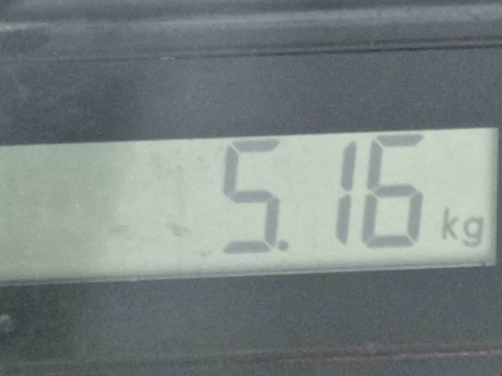 Усилитель переднего бампера (передний) MITSUBISHI Colt Z3 2003-2012