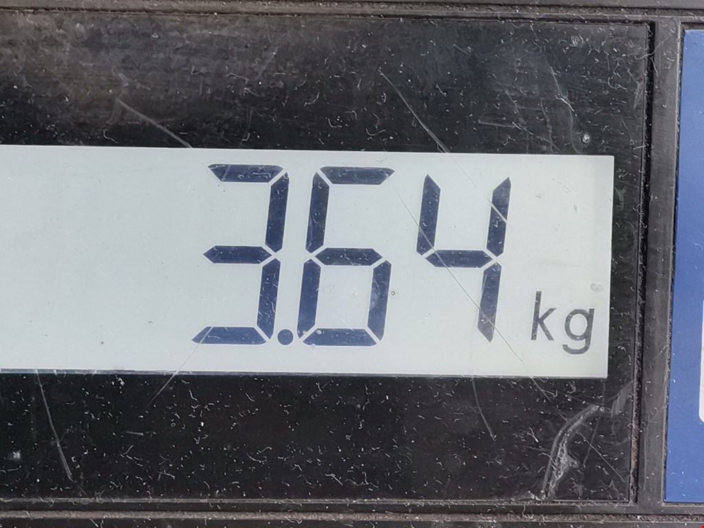 Пружина задняя левая/правая AUDI A4 B8 2007-2015