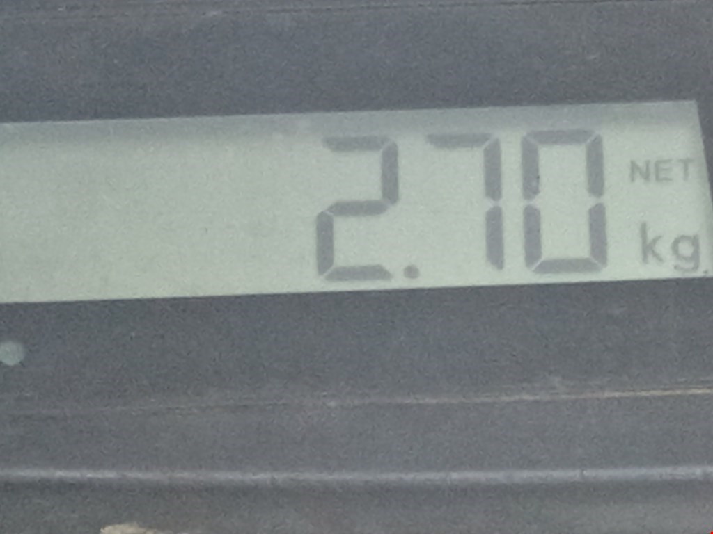 Стабилизатор передний (поперечной устойчивости подвески) AUDI A4 B8 2007-2015