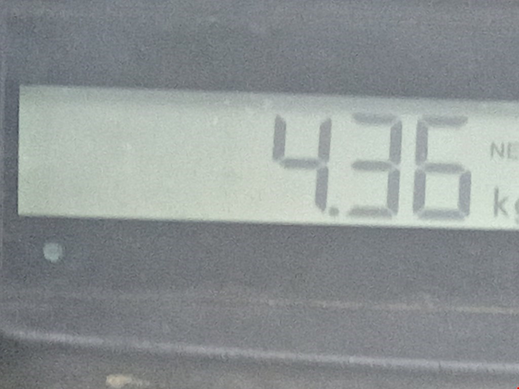 Амортизатор задний левый VOLKSWAGEN Passat B6 2005-2011