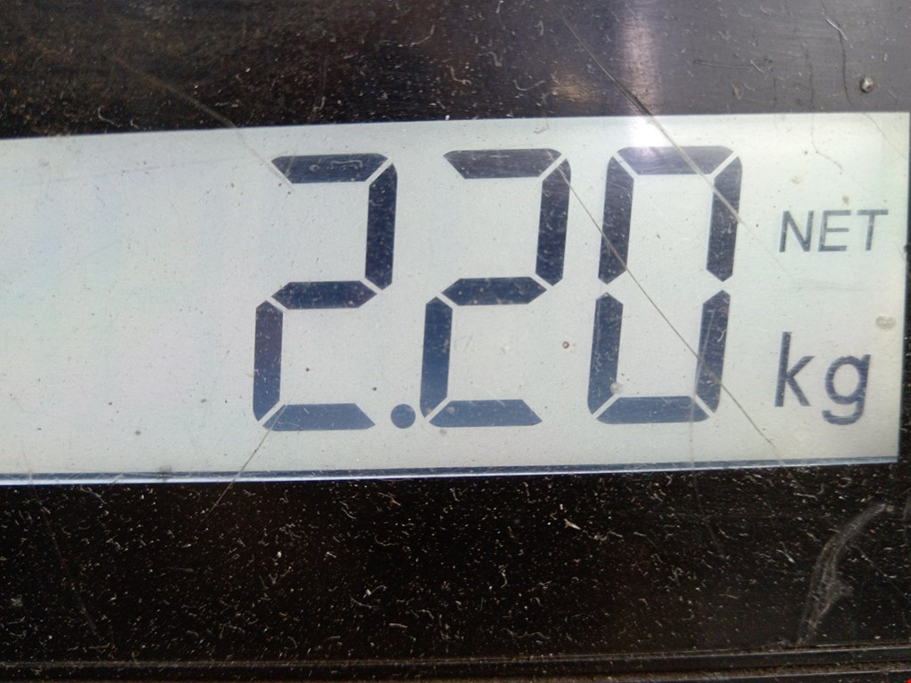 Амортизатор задний левый VOLKSWAGEN Passat B6 2005-2011