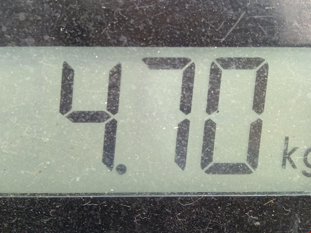 Стабилизатор передний (поперечной устойчивости подвески) RENAULT Megane II 2002-2009