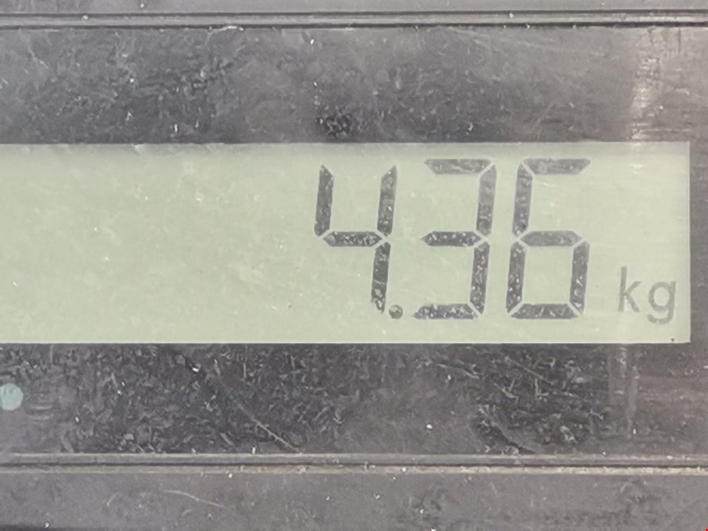 Стабилизатор передний (поперечной устойчивости подвески) NISSAN Micra K12 2003-2010