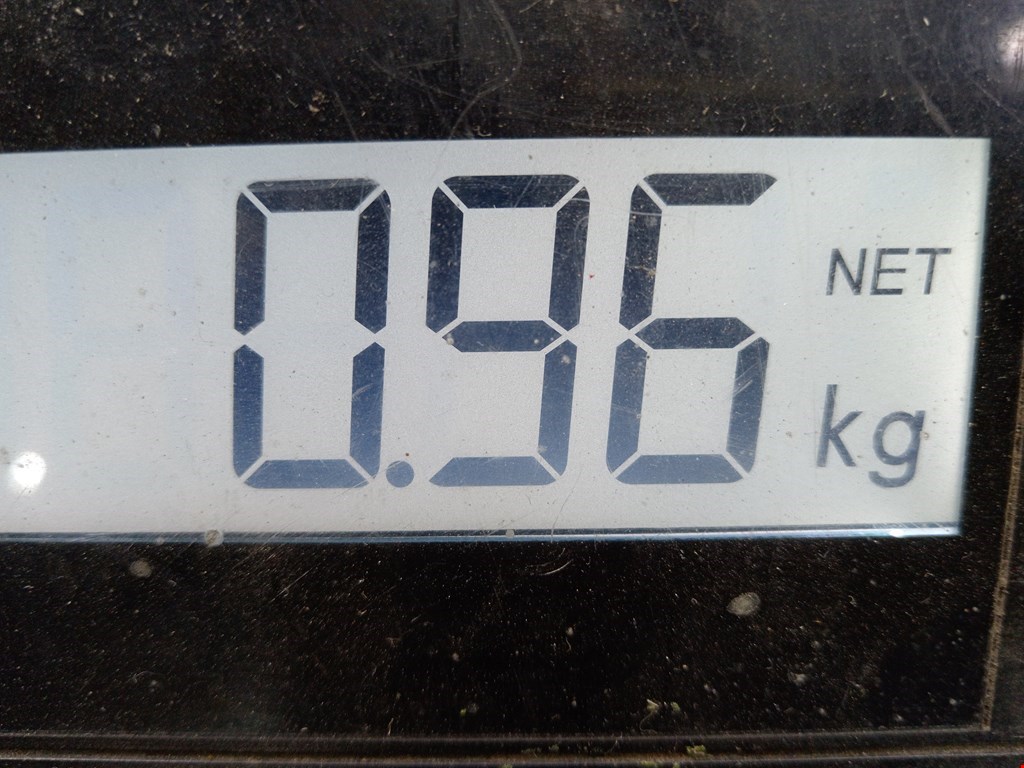 Локер (подкрылок) задний правый AUDI A3 8P 2003-2013