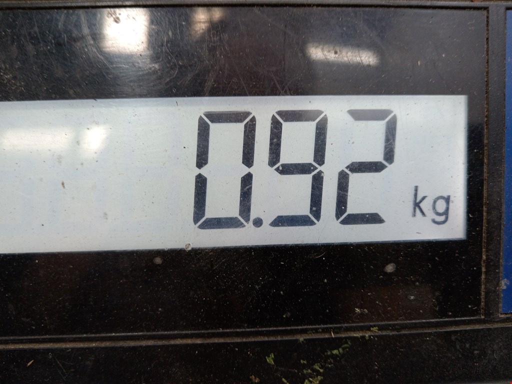 Защита антигравийная KIA Carens 2006-2012