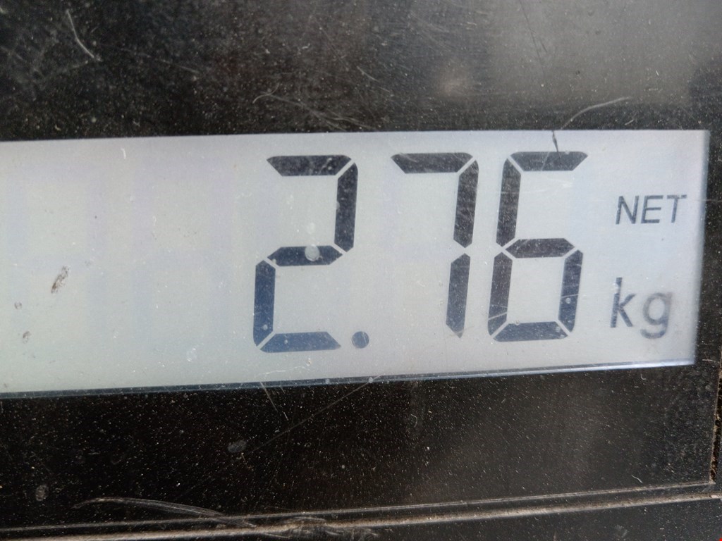 Поддон масляный двигателя VOLKSWAGEN Passat B5 1997-2005