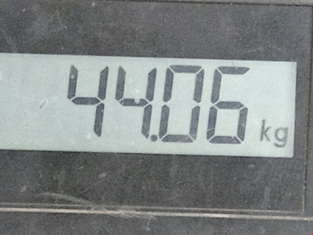 МКПП (Механическая коробка переключения передач) FORD Focus I 1998-2005