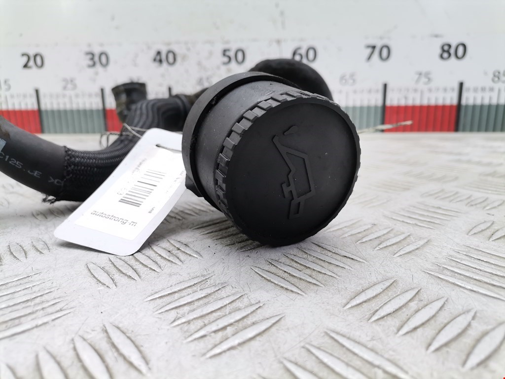 Горловина маслозаливная (залива масла) PEUGEOT Expert I 1995-2007