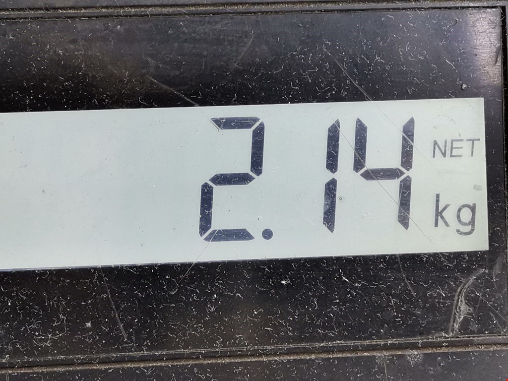 Амортизатор задний левый AUDI A3 8P 2003-2013