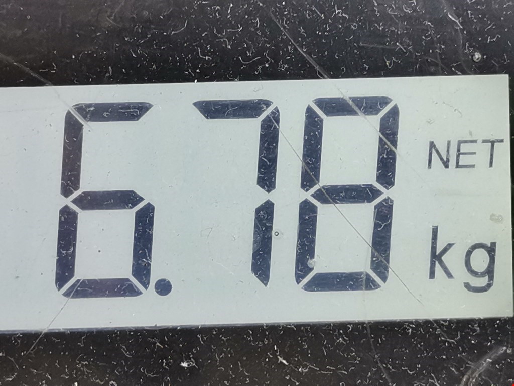 Амортизатор передний левый AUDI A3 8P 2003-2013