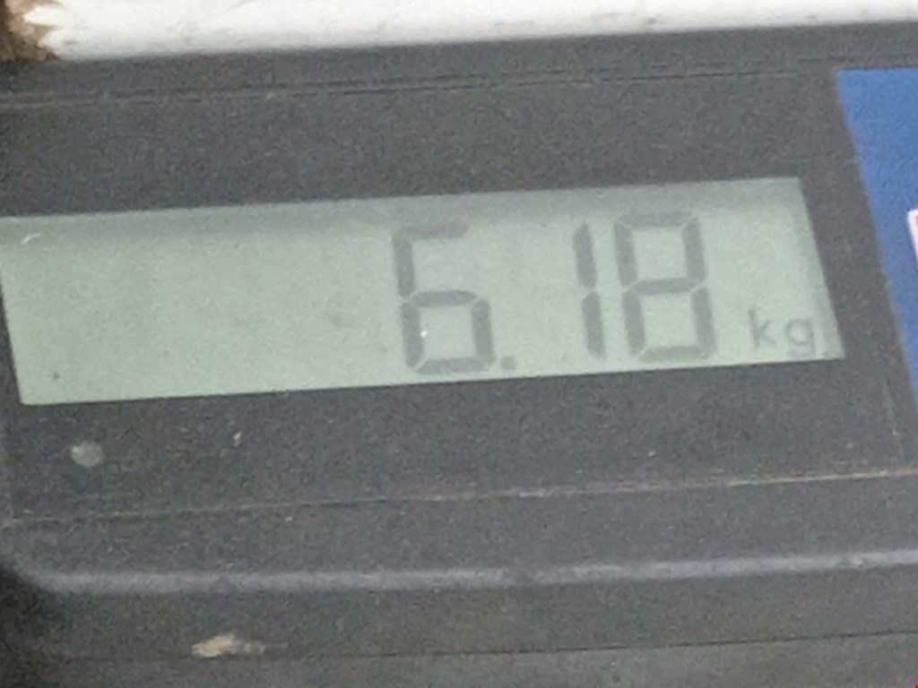 Усилитель переднего бампера (передний) TOYOTA Aygo AB10 2005-2014