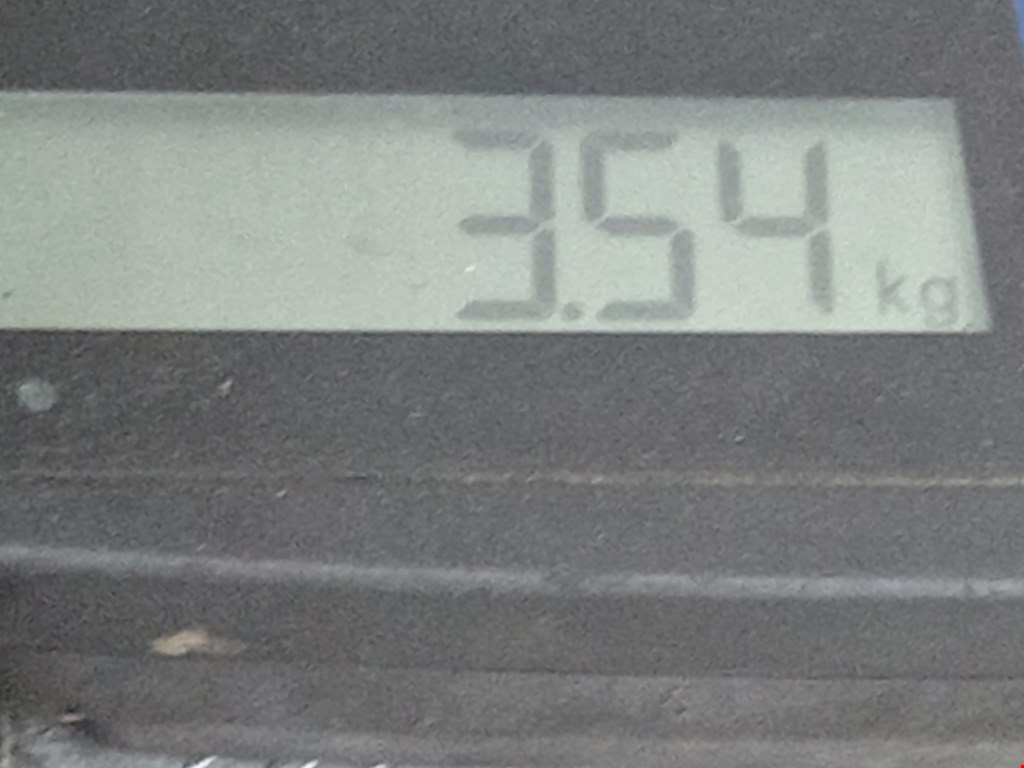 Стабилизатор передний (поперечной устойчивости подвески) PEUGEOT 207 2006-2015