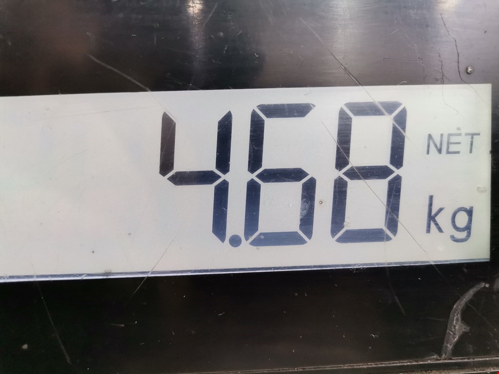 Пружина задняя левая/правая AUDI A3 8P 2003-2013