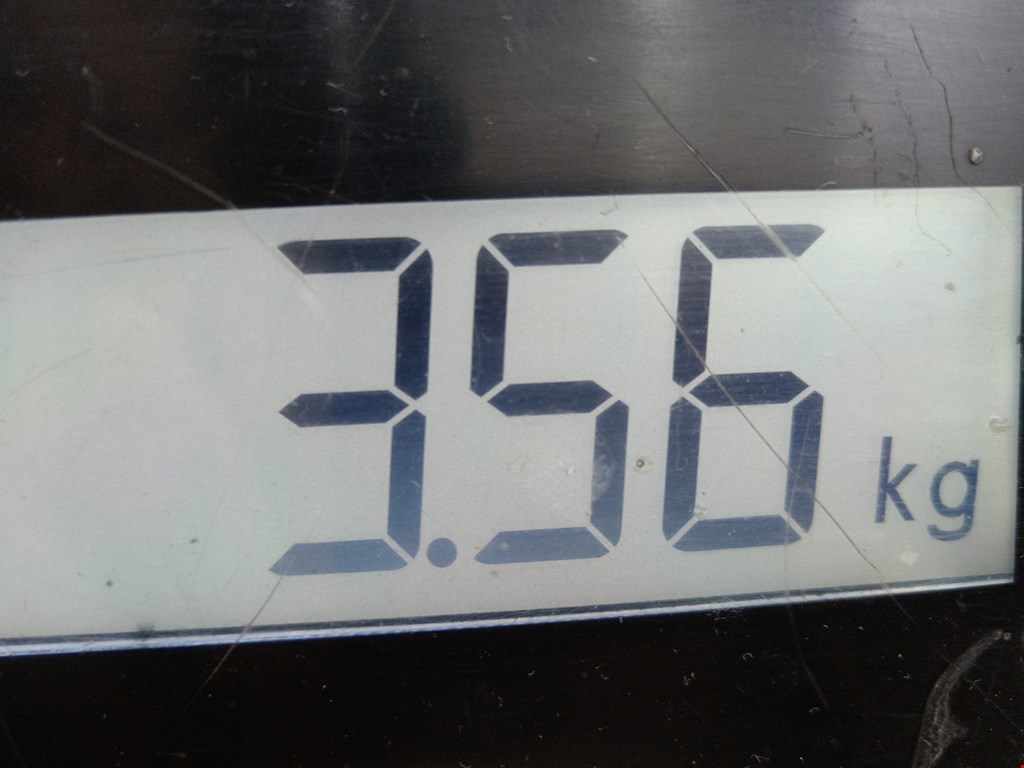 Стабилизатор передний (поперечной устойчивости подвески) AUDI A3 8P 2003-2013