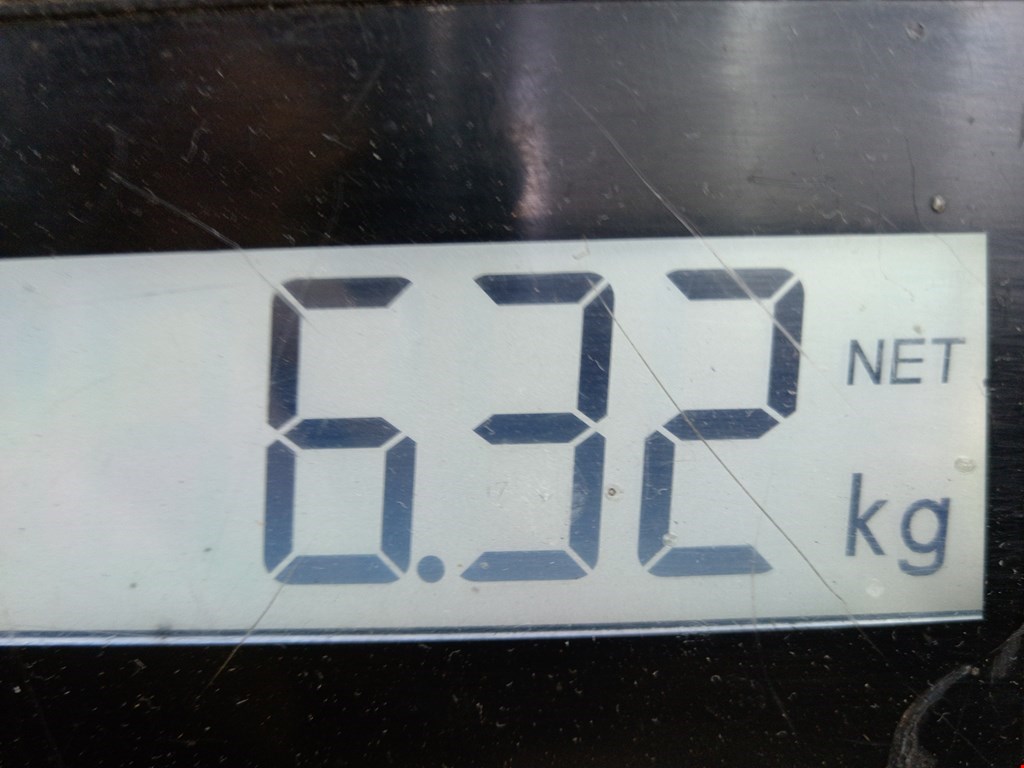 Амортизатор задний левый BMW 5er 5 серия E39 1995-2004