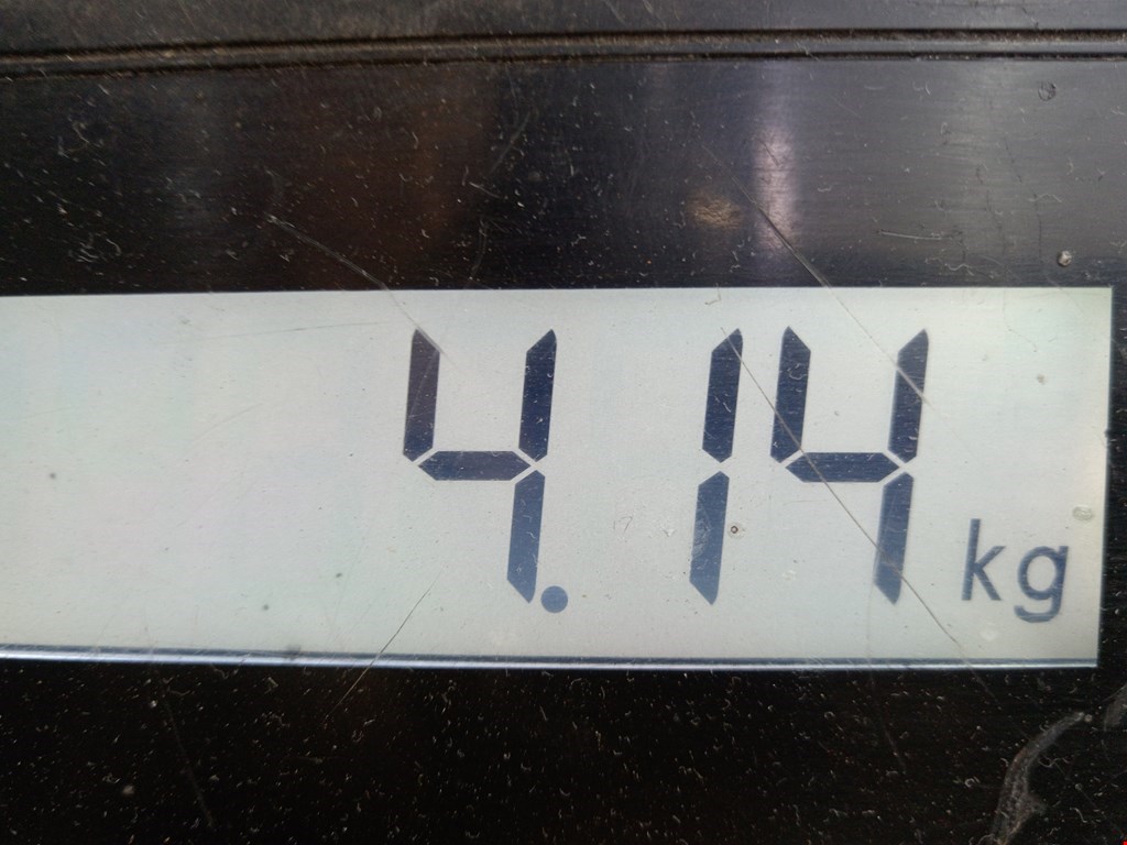 Суппорт передний правый RENAULT Modus 2004-2012