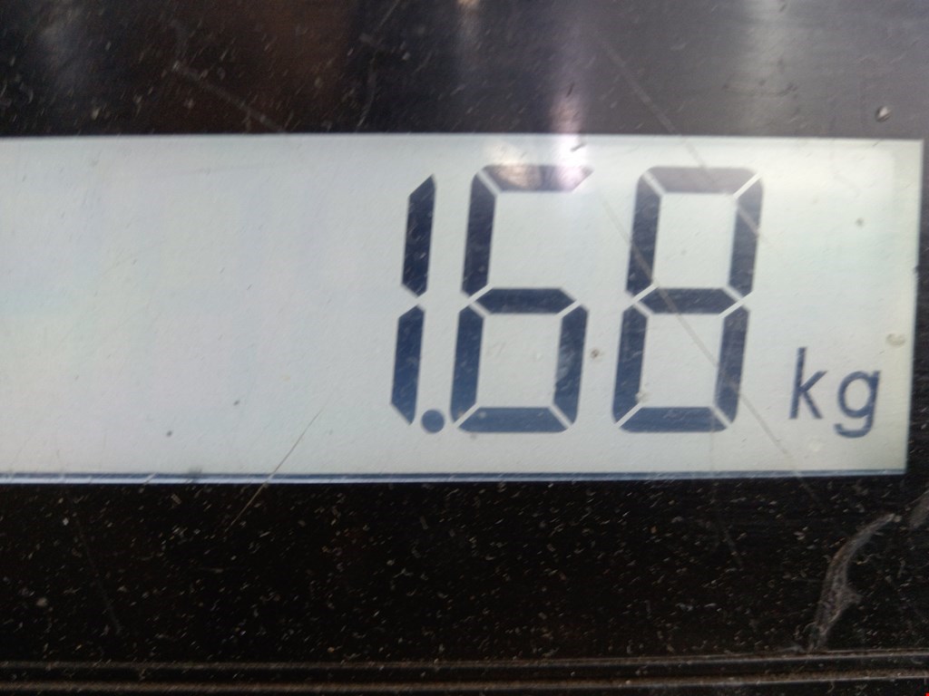 Амортизатор задний левый=правый RENAULT Clio 1998-2008