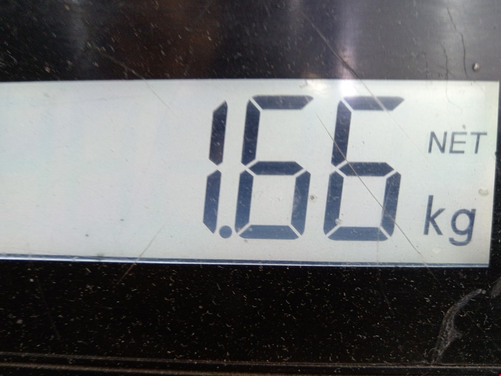 Амортизатор задний левый=правый RENAULT Clio 1998-2008