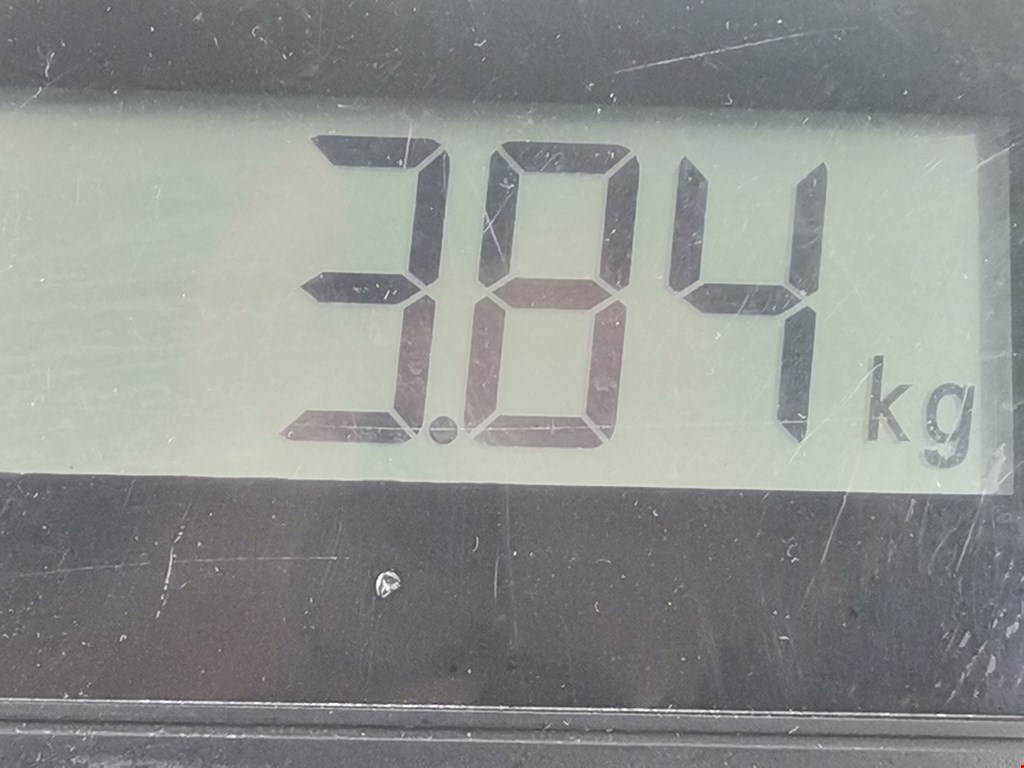 Стеклоподъемник задний правый AUDI A3 8P 2003-2013