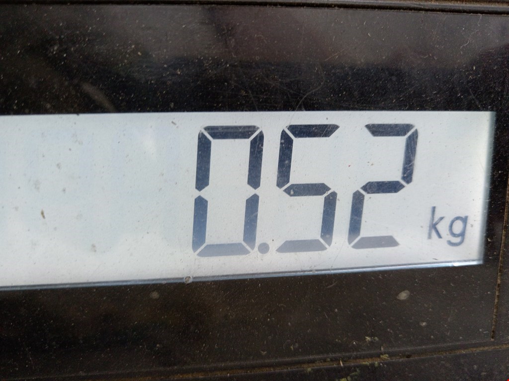 Локер (подкрылок) передний левый NISSAN X-Trail T30 2000-2007