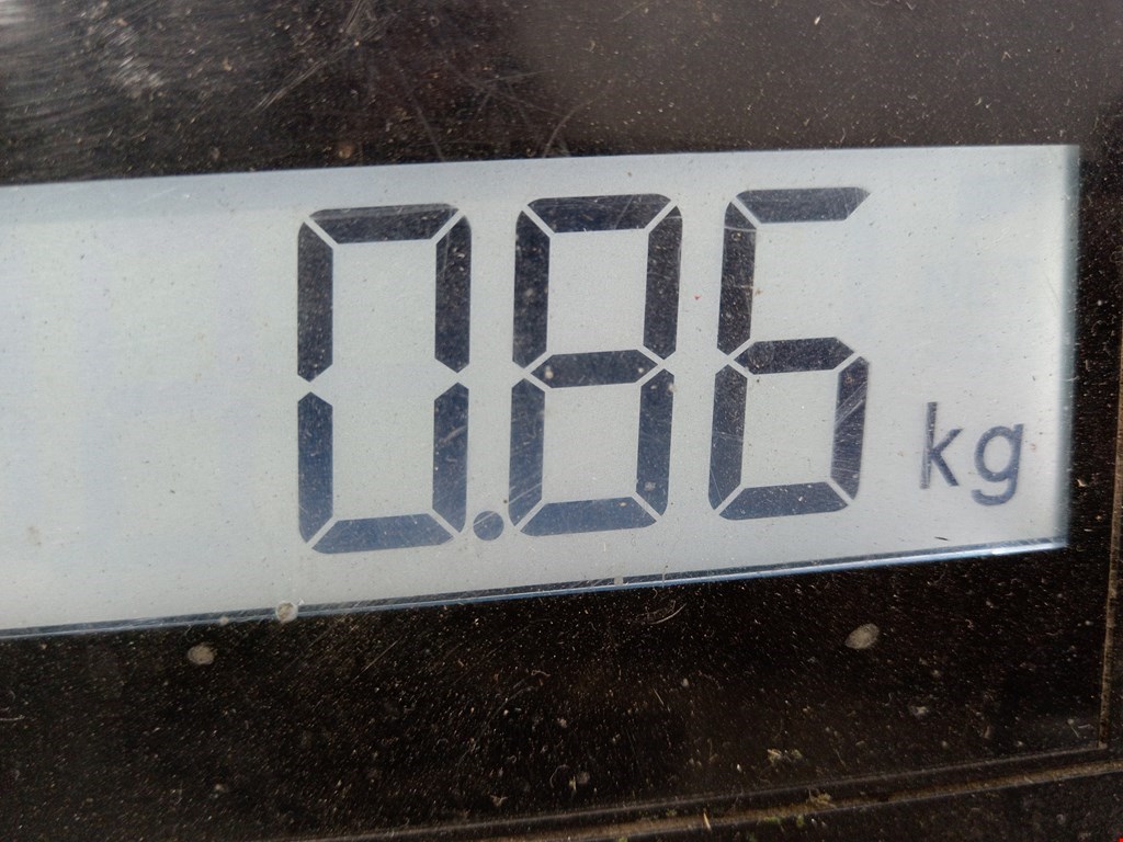 Бампер задний FORD Transit 2000-2006