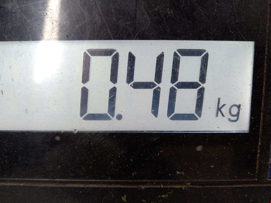 Бампер задний FORD Transit 2014-н.в.