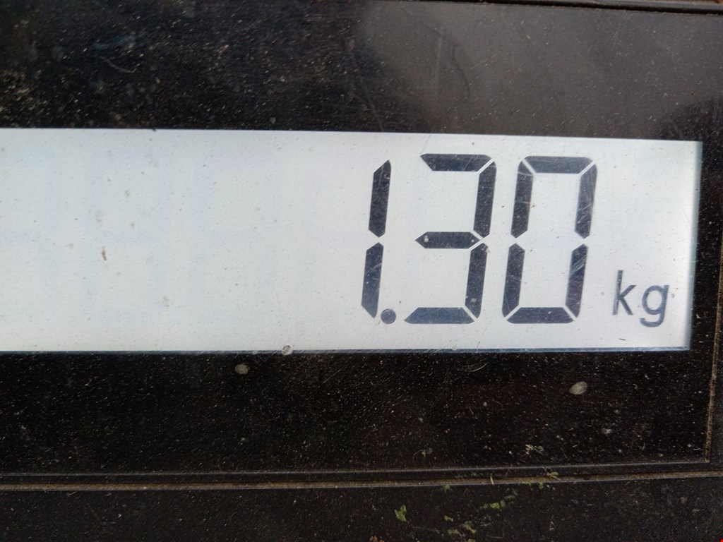 Бампер задний MERCEDES-BENZ Vito W639 2003-2014