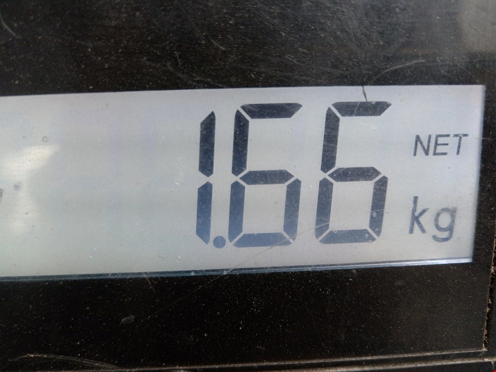 Амортизатор задний левый=правый PEUGEOT 207 2006-2015