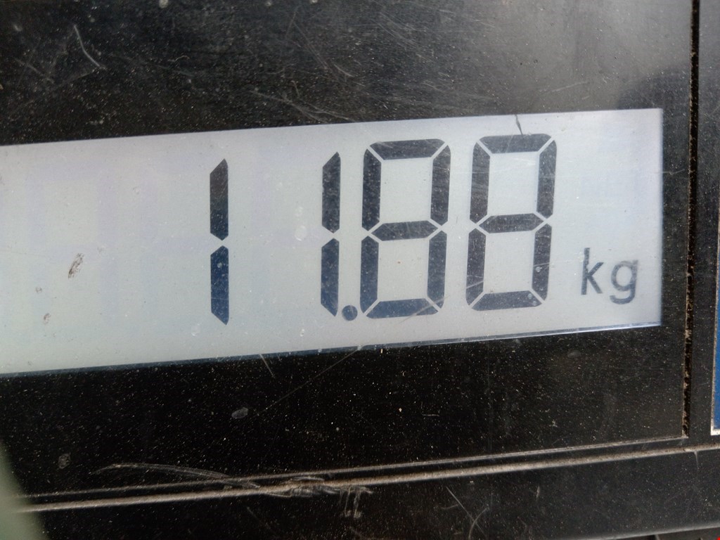 Амортизатор передний правый SKODA Octavia A4 1U- 1997-2010