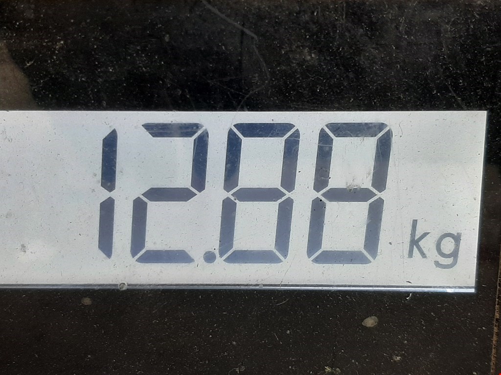 Амортизатор передний левый AUDI A4 B6 2001-2005