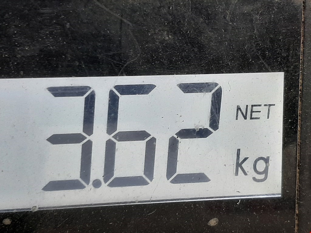 Амортизатор задний левый CITROEN C8 2002-2014